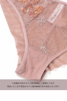 画像13: サイズ限定｜L【20%OFF】KAIRA-chocolate-C110 | ノーマルショーツ・シースルー・モカベージュ  | ewabien エヴァビアン【サイズ交換NG】※メール便対象※輸入下着・高級ランジェリー  (13)