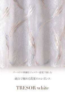 画像16: 【20%OFF】TRESOR-white-C215 | タンガ・Tバック・シースルー・ホワイト  | ewabien エヴァビアン【サイズ交換NG】※メール便対象※輸入下着・高級ランジェリー  (16)