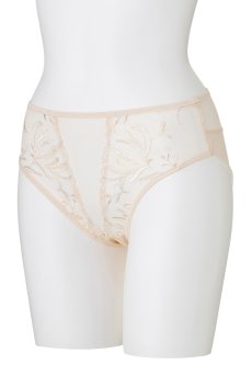 画像9: 在庫限り｜Mサイズ｜HELENE-vanilla-C110 | ノーマルショーツ・シースルー・バニラ  | ewabien エヴァビアン【サイズ交換NG】※メール便対象※輸入下着・高級ランジェリー （再入荷なし） (9)