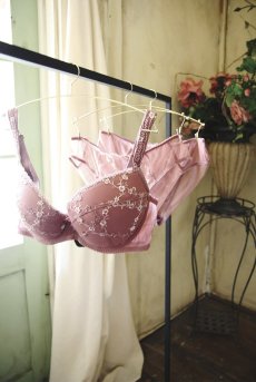 画像6: サイズ限定｜75F.75G【20%OFF】JULIA antique pink B150 | セミソフトブラ・大きいサイズ・B〜Kカップ・アンティークピンク | ewabien エヴァビアン| 輸入下着・高級ランジェリー  (6)