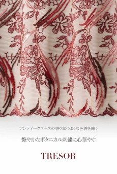 画像10: 在庫限り｜75G.80E.80Gサイズ｜TRESOR maroon B150 | セミソフトブラ・大きいサイズ・赤×ベージュ | ewabien エヴァビアン| 輸入下着・高級ランジェリー  (10)
