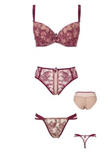 画像22: TRESOR maroon B214 | グラマー向けすっぴん美乳ブラ・ストラップ太め・バストサロン推奨・プランジブラ・B〜Hカップ・赤×ベージュ | ewabien エヴァビアン| 輸入下着・高級ランジェリー  (22)