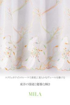 画像15: MILA cream C200 |タンガ・Tバック・クリーム×グリーン  | ewabien エヴァビアン【サイズ交換NG】※メール便対象※輸入下着・高級ランジェリー  (15)