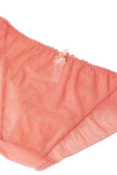 画像14: NATALI flamingo C110 | ノーマルショーツ・ピンク  | ewabien エヴァビアン【サイズ交換NG・メール便対象】輸入下着・高級ランジェリー  (14)
