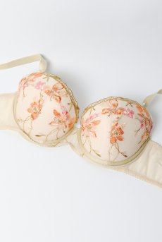 画像12: KARMELA gold B214 | 3/4カップ・ワイヤーブラ・グラマー向け・すっぴん美乳ブラ・ゴールド| ewabien エヴァビアン| 輸入下着・高級ランジェリー  (12)