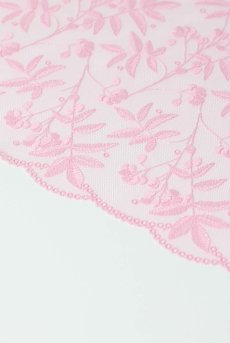 画像18: FIORA pink C215 |タンガ・Tバック・ピンク | ewabien エヴァビアン【サイズ交換NG・メール便対象】輸入下着・高級ランジェリー  (18)