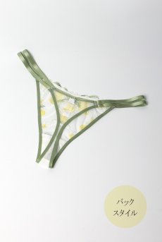 画像10: LIMON cream C215 |タンガ・Tバック・クリーム | ewabien エヴァビアン【サイズ交換NG・メール便対象】輸入下着・高級ランジェリー  (10)