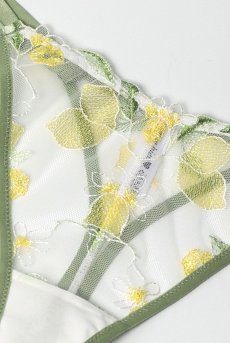 画像11: LIMON cream C215 |タンガ・Tバック・クリーム | ewabien エヴァビアン【サイズ交換NG・メール便対象】輸入下着・高級ランジェリー  (11)