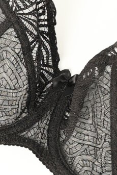 画像10: RINA black B161 | フルカップ・パッドなし・ワイヤーブラ・一枚レース・大きいサイズ・ブラック | ewabien エヴァビアン| 輸入下着・高級ランジェリー  (10)