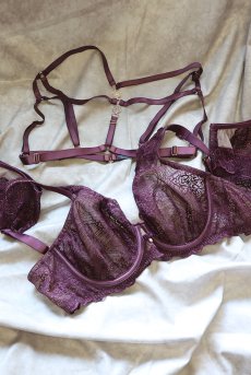 画像15: MARIBEL cherry-HN |ボディハーネス・バイオレット | ewabien エヴァビアン【サイズ交換NG・メール便対象】輸入下着・高級ランジェリー  (15)