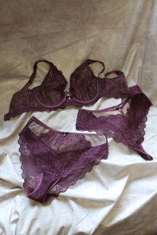 画像17: MARIBEL cherry C220|タンガ・バイオレット  | ewabien エヴァビアン【サイズ交換NG・メール便対象】輸入下着・高級ランジェリー  (17)