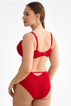 画像5: HARPER-red-B214 | 3/4カップ・ワイヤーブラ・グラマー向け・レッド| ewabien エヴァビアン【サイズ交換OK】 輸入下着・高級ランジェリー  (5)