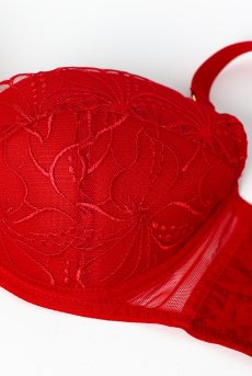 画像8: HARPER-red-B214 | 3/4カップ・ワイヤーブラ・グラマー向け・レッド| ewabien エヴァビアン【サイズ交換OK】 輸入下着・高級ランジェリー  (8)