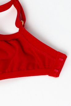 画像11: HARPER-red-B214 | 3/4カップ・ワイヤーブラ・グラマー向け・レッド| ewabien エヴァビアン【サイズ交換OK】 輸入下着・高級ランジェリー  (11)