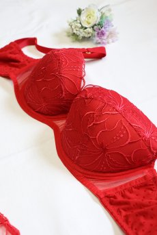 画像14: HARPER-red-B214 | 3/4カップ・ワイヤーブラ・グラマー向け・レッド| ewabien エヴァビアン【サイズ交換OK】 輸入下着・高級ランジェリー  (14)