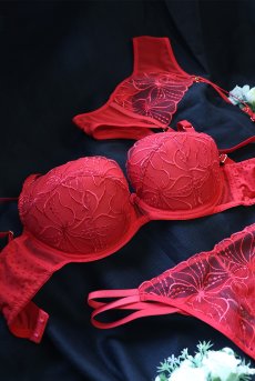 画像16: HARPER-red-B214 | 3/4カップ・ワイヤーブラ・グラマー向け・レッド| ewabien エヴァビアン【サイズ交換OK】 輸入下着・高級ランジェリー  (16)