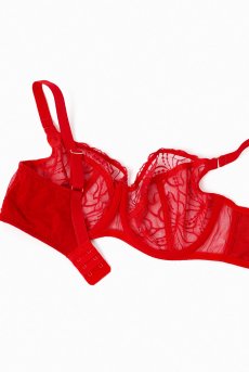 画像12: HARPER red B161 | フルカップブラ・パッドなし・ワイヤーブラ・一枚レース・大きいサイズ・レッド | ewabien エヴァビアン【サイズ交換OK・メール便対象】 輸入下着・高級ランジェリー  (12)