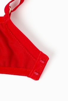 画像13: HARPER red B161 | フルカップブラ・パッドなし・ワイヤーブラ・一枚レース・大きいサイズ・レッド | ewabien エヴァビアン【サイズ交換OK・メール便対象】 輸入下着・高級ランジェリー  (13)