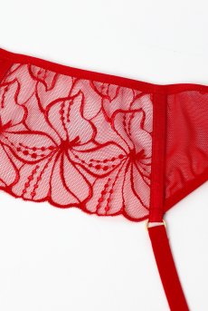 画像11: HARPERred-C603|ガーターベルト・レッド | ewabien エヴァビアン【サイズ交換OK・メール便対象】輸入下着・高級ランジェリー  (11)