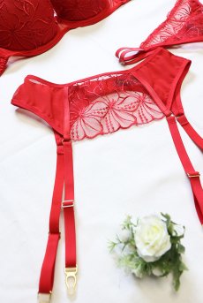 画像15: HARPERred-C603|ガーターベルト・レッド | ewabien エヴァビアン【サイズ交換OK・メール便対象】輸入下着・高級ランジェリー  (15)