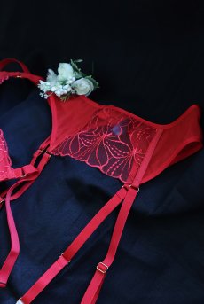 画像17: HARPERred-C603|ガーターベルト・レッド | ewabien エヴァビアン【サイズ交換OK・メール便対象】輸入下着・高級ランジェリー  (17)