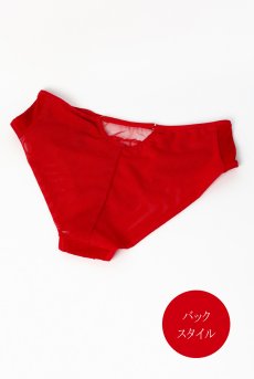 画像10: HARPER red C511｜ブラジリアンショーツ・レッド | ewabien エヴァビアン【サイズ交換NG・メール便対象】輸入下着・高級ランジェリー  (10)