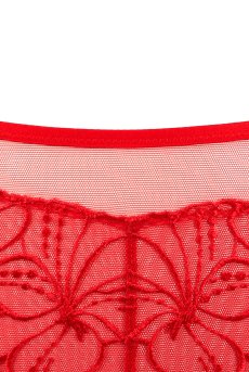 画像14: HARPER red C511｜ブラジリアンショーツ・レッド | ewabien エヴァビアン【サイズ交換NG・メール便対象】輸入下着・高級ランジェリー  (14)