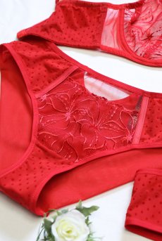 画像16: HARPER red C511｜ブラジリアンショーツ・レッド | ewabien エヴァビアン【サイズ交換NG・メール便対象】輸入下着・高級ランジェリー  (16)