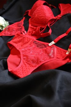 画像17: HARPER red C511｜ブラジリアンショーツ・レッド | ewabien エヴァビアン【サイズ交換NG・メール便対象】輸入下着・高級ランジェリー  (17)