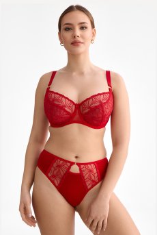 画像5: HARPER-red-C322 |ブラジリアンタンガ・レッド  | ewabien エヴァビアン【サイズ交換NG・メール便対象】輸入下着・高級ランジェリー  (5)