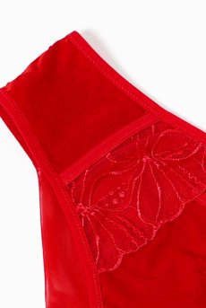 画像11: HARPER-red-C322 |ブラジリアンタンガ・レッド  | ewabien エヴァビアン【サイズ交換NG・メール便対象】輸入下着・高級ランジェリー  (11)