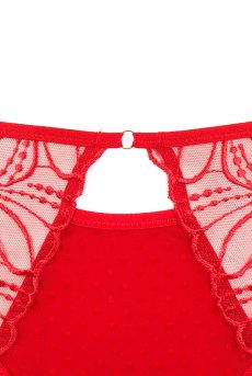 画像14: HARPER-red-C322 |ブラジリアンタンガ・レッド  | ewabien エヴァビアン【サイズ交換NG・メール便対象】輸入下着・高級ランジェリー  (14)