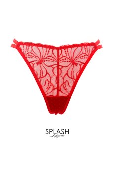 画像1: HARPER red C215 | タンガ・シースルー・レッド  | ewabien エヴァビアン【サイズ交換NG・メール便対象】輸入下着・高級ランジェリー  (1)