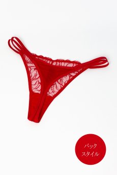 画像11: HARPER red C215 | タンガ・シースルー・レッド  | ewabien エヴァビアン【サイズ交換NG・メール便対象】輸入下着・高級ランジェリー  (11)