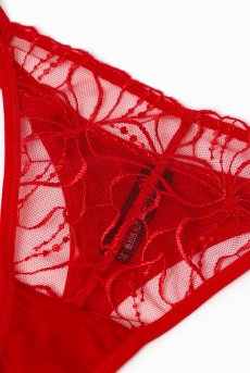 画像12: HARPER red C215 | タンガ・シースルー・レッド  | ewabien エヴァビアン【サイズ交換NG・メール便対象】輸入下着・高級ランジェリー  (12)