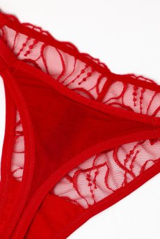 画像13: HARPER red C215 | タンガ・シースルー・レッド  | ewabien エヴァビアン【サイズ交換NG・メール便対象】輸入下着・高級ランジェリー  (13)