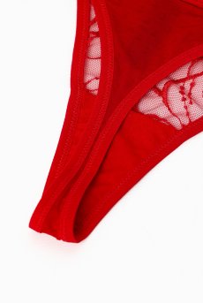 画像15: HARPER red C215 | タンガ・シースルー・レッド  | ewabien エヴァビアン【サイズ交換NG・メール便対象】輸入下着・高級ランジェリー  (15)