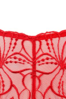 画像16: HARPER red C215 | タンガ・シースルー・レッド  | ewabien エヴァビアン【サイズ交換NG・メール便対象】輸入下着・高級ランジェリー  (16)