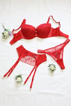 画像17: HARPER red C215 | タンガ・シースルー・レッド  | ewabien エヴァビアン【サイズ交換NG・メール便対象】輸入下着・高級ランジェリー  (17)