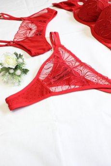 画像18: HARPER red C215 | タンガ・シースルー・レッド  | ewabien エヴァビアン【サイズ交換NG・メール便対象】輸入下着・高級ランジェリー  (18)