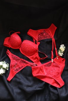 画像19: HARPER red C215 | タンガ・シースルー・レッド  | ewabien エヴァビアン【サイズ交換NG・メール便対象】輸入下着・高級ランジェリー  (19)