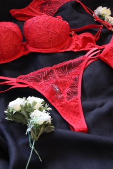 画像20: HARPER red C215 | タンガ・シースルー・レッド  | ewabien エヴァビアン【サイズ交換NG・メール便対象】輸入下着・高級ランジェリー  (20)