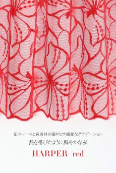 画像18: HARPERred-C603|ガーターベルト・レッド | ewabien エヴァビアン【サイズ交換OK・メール便対象】輸入下着・高級ランジェリー  (18)