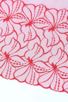 画像19: HARPERred-C603|ガーターベルト・レッド | ewabien エヴァビアン【サイズ交換OK・メール便対象】輸入下着・高級ランジェリー  (19)