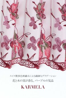 画像18: KARMELA amethyst C322 |ブラジリアンタンガ・パープル  | ewabien エヴァビアン【サイズ交換NG・メール便対象】輸入下着・高級ランジェリー  (18)