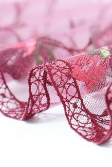 画像20: KARMELA amethyst C322 |ブラジリアンタンガ・パープル  | ewabien エヴァビアン【サイズ交換NG・メール便対象】輸入下着・高級ランジェリー  (20)