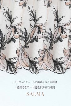 画像19: SALMA beige C511｜ブラジリアンショーツ・ベージュ | ewabien エヴァビアン【サイズ交換NG・メール便対象】輸入下着・高級ランジェリー  (19)