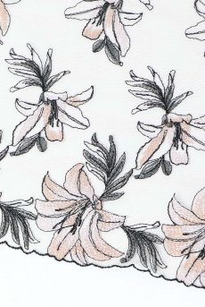 画像20: SALMA beige C511｜ブラジリアンショーツ・ベージュ | ewabien エヴァビアン【サイズ交換NG・メール便対象】輸入下着・高級ランジェリー  (20)