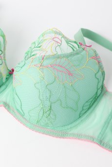 画像8: MILAGROS green B150 | フルカップブラ・透けないタイプ・セミソフト・大きいサイズ・グリーン| ewabien エヴァビアン【サイズ交換OK】 輸入下着・高級ランジェリー  (8)