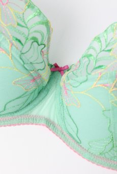 画像9: MILAGROS green B150 | フルカップブラ・透けないタイプ・セミソフト・大きいサイズ・グリーン| ewabien エヴァビアン【サイズ交換OK】 輸入下着・高級ランジェリー  (9)